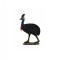 Figurina Strut Cassowary L Collecta