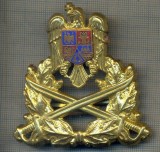 Y 1605 INSIGNA-MILITARA-EMBLEMA COIFURA- TRUPELE DE USCAT -PENTRU COLECTIONARI