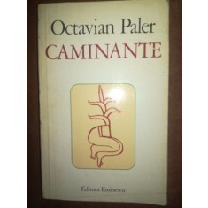 Caminante- Octavian Paler