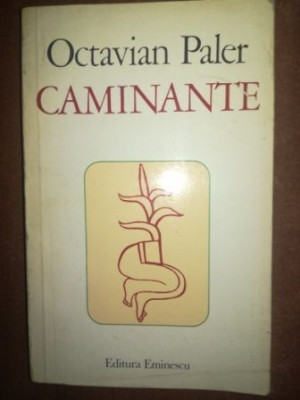 Caminante- Octavian Paler foto