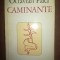 Caminante- Octavian Paler
