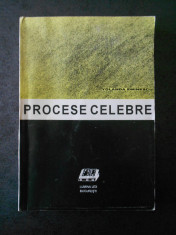 YOLANDA EMINESCU - PROCESE CELEBRE foto