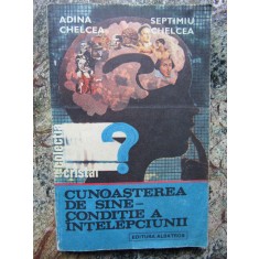 Adina Chelcea - Cunoasterea de sine-conditie a intelepciunii