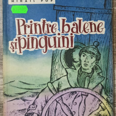 Printre balene si pinguini - Mihail Pop// ilustratii Clelia Ottone