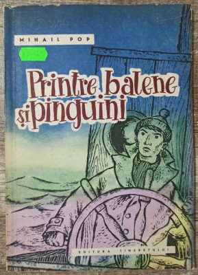 Printre balene si pinguini - Mihail Pop// ilustratii Clelia Ottone foto