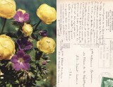 Franta - Vedere-flori