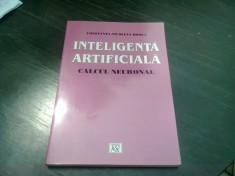 INTELIGENTA ARTIFICIALA, CALCUL NEURONAL - CONSTANTA NICOLETA BODEA