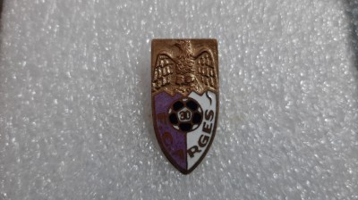 Insigna FC Arges foto