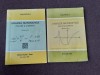 Analiza Matematica Virgil Nicula, 2 Volume (1996, 1997) - Adria Pres, Matematica Avansata