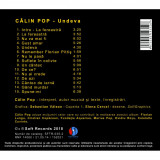 Undeva | Calin Pop, Soft Records