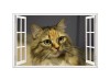Sticker decorativ, Fereastra 3D, Pisica, 85 cm, 409STK, natura si peisaje