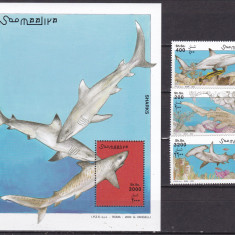 Somalia 2003 fauna marina rechini serie + bloc MNH