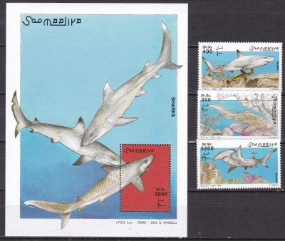 Somalia 2003 fauna marina rechini serie + bloc MNH foto