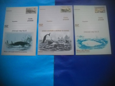 HOPCT LOT NR 416 BALENE-FAUNA ARCTICA -3 CARTI POSTALE-NECIRCULATE foto