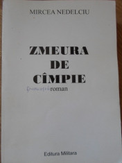 ZMEURA DE CAMPIE (XEROX)-MIRCEA NEDELCIU foto