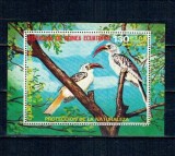 Guinea Ecuatoriala 1976 - Pasări din Africa, colita neuzata