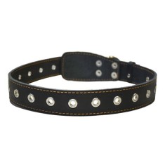 Zgarda pentru caini din piele - 76cm, 35mm - neagra foto