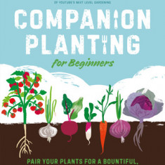 Companion Planting for Beginners: Pair Your Plants for a Bountiful, Chemical-Free Vegetable Garden