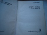 Istoria culturii si civilizatiei (vol. I) - Ovidiu Drimba
