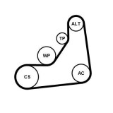Set curea transmisie cu caneluri BMW 1, 3, 5, 6 Gran Turismo, 7, 8, 8 Gran, X3, X4, X5, X6, X7 Motor 114 d, 116 d, 330 d, 330 d xDrive, OE