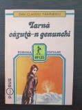 IARNA CAZUTA-N GENUNCHI - Dan Claudiu Tanasescu