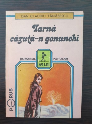IARNA CAZUTA-N GENUNCHI - Dan Claudiu Tanasescu foto