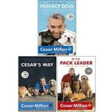 The Dog Whisperer Cesar Millan 3 Books Collection