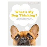 What&#039;s My Dog Thinking?