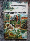 GHEORGHE TOMOZEI - PEREGRIN VALAH