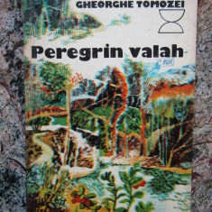 GHEORGHE TOMOZEI - PEREGRIN VALAH