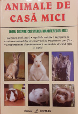 Animale de casa mici foto