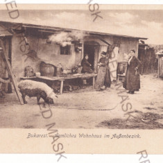 784 - BUCURESTI, Ethnic, Family house, Romania - old postcard - unused