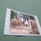 Cumpara ieftin CARTE POSTALA IMBLATIREA GRAULUI NECIRCULATA