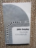 John Bayley - Fascinatia romantismului