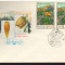 CPIB17049 INTREG POSTAL - FLORA RUSIA, PRIMA ZI, 1976