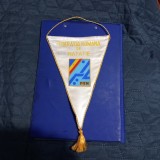 Fanion Fed. romana de Natatie