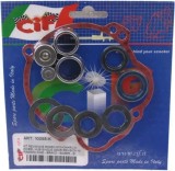 Kit reparatie grup spate moped Piaggio Ciao - Boss &ndash; Bravo - Si monomarcia 2T AC 50cc - modelele fara variator