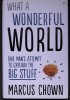 What a wonderful world: One Man s Attempt to Explain the Big Stuff - Marcus Chown