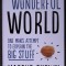 What a wonderful world: One Man s Attempt to Explain the Big Stuff - Marcus Chown