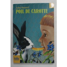 POIL DE CAROTTE , illustrations de PHILIPPE DAVAINE par JULES RENARD , 2009