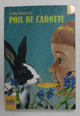 POIL DE CAROTTE , illustrations de PHILIPPE DAVAINE par JULES RENARD , 2009 foto