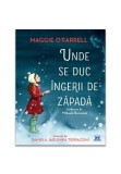 Cumpara ieftin Unde se duc ingerii de zapada