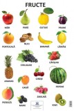 Plansa Fructe - Autor Anonim - Editura DPH