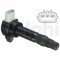 DELPHI GN10793-12B1 bobina de inductie