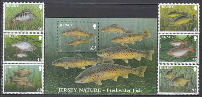 Jersey 2010 - Viața marină - Anemone, Serie + Colita, MNH