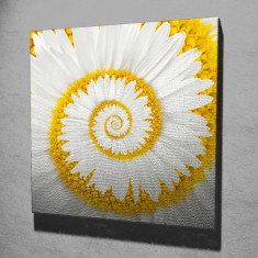 Tablou decorativ, KC065, Canvas, Dimensiune: 45 x 45 cm, Multicolor