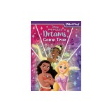 Disney Princess: Dreams Come True Look and Find