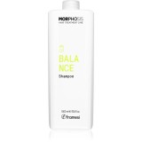 Framesi Morphosis Balance sampon pentru curatare pentru par si scalp gras 1000 ml