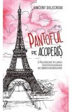Pantoful pe acoperis - Vincent Delecroix
