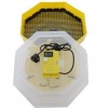 Incubator electric cu temometu si termostat, 60 oua , CLEO 5T
